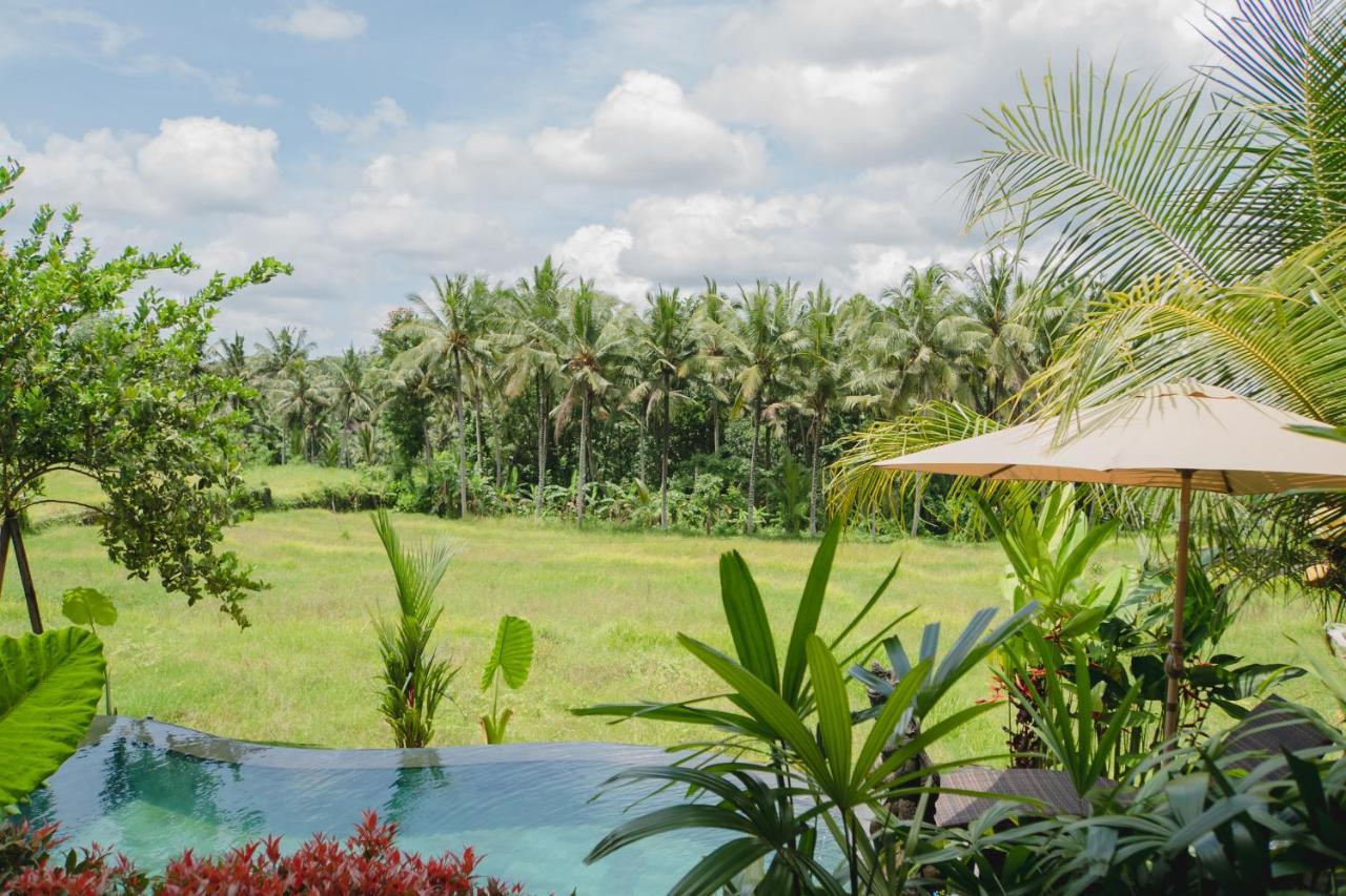 Mancur Guesthouse Ubud Exterior foto